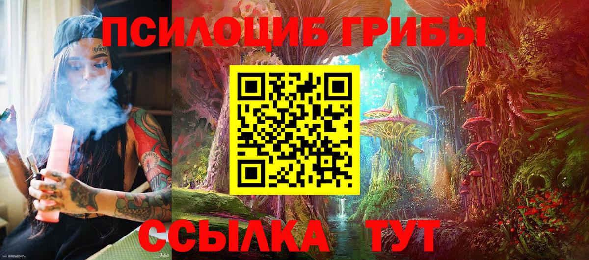 Нефтеюганск  Галлюциногенные грибы Psilocybine cubensis  Галлюциногенные грибы Psilocybine cubensis  купить наркотики цена  Вход с VPN 